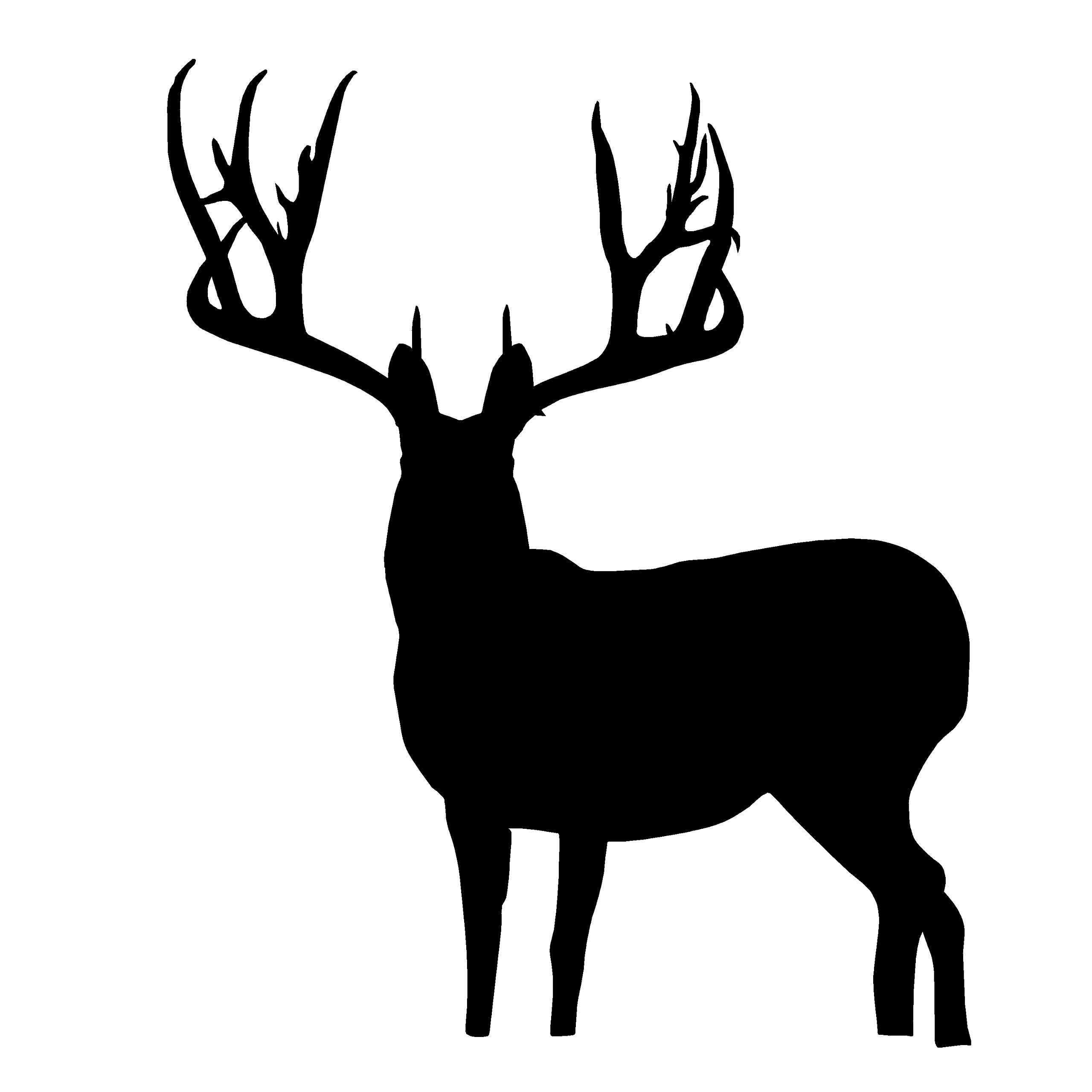Big Buck Full Body Deer Decal - High-Quality Window Sticker for Hunting Enthusiasts (Medium, White) | Perfect for Trucks, Cars & Hunting Gear by Waterfowldecals