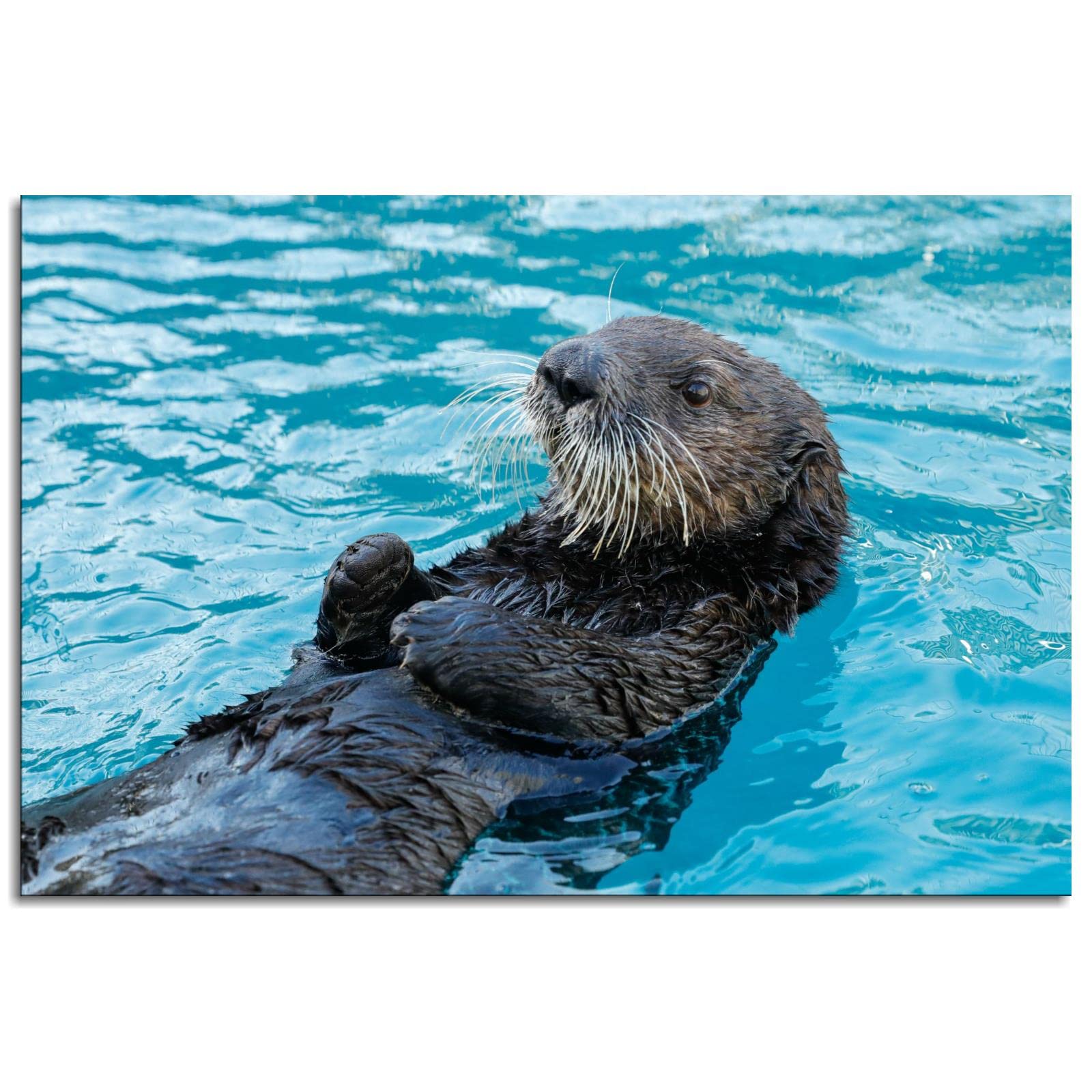 Otter Canvas Prints - Modern Wall Art Decor for Home, Office & Kids Room - Framed Animal Posters 18x12 Inches - Perfect for Living Room, Bedroom & Nursery Decor