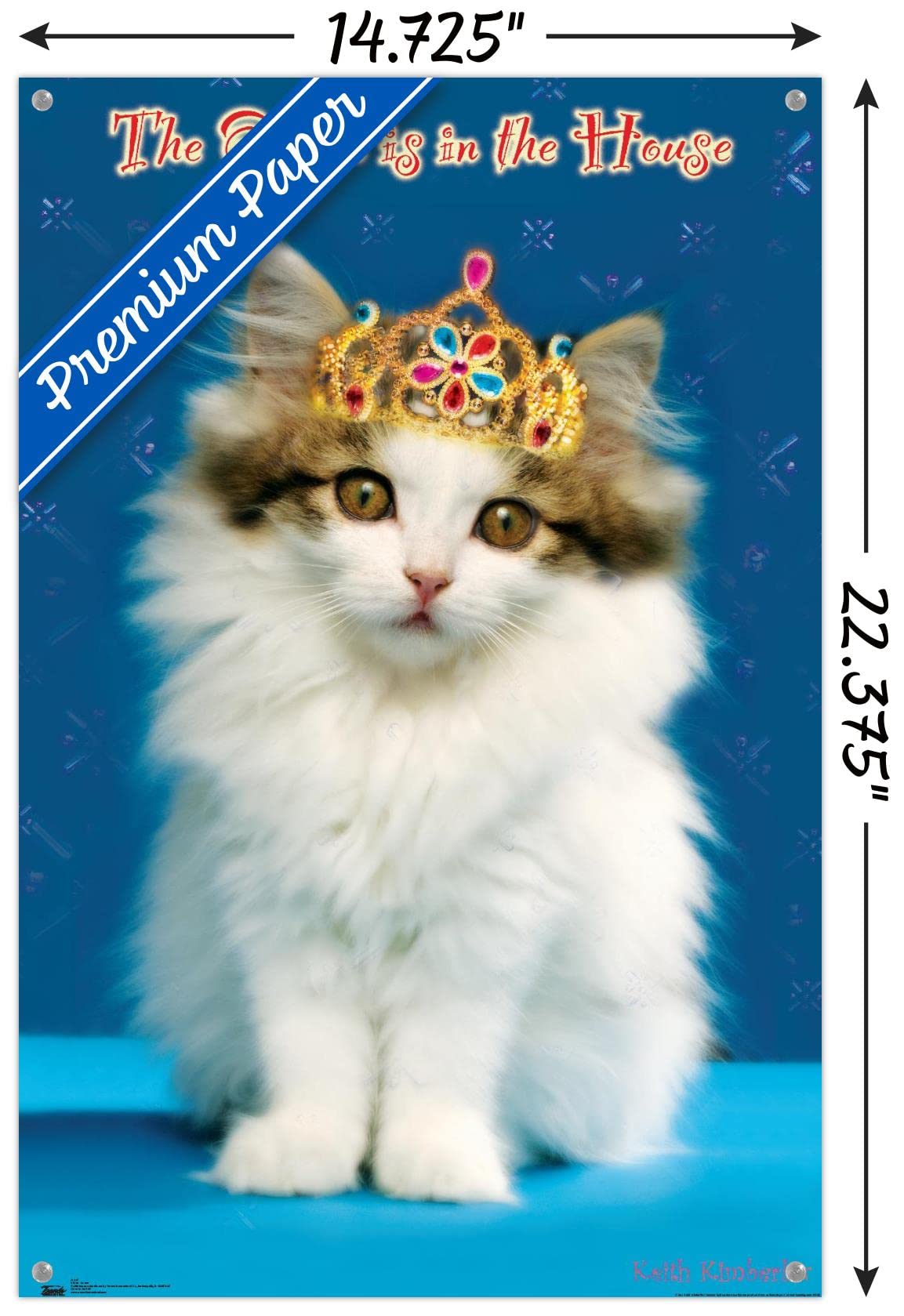 Keith Kimberlin Kitten Queen Wall Poster with Push Pins - Vintage Cat Art Print for Home Decor, Office & Dorm Room - Perfect Gift for Cat Lovers