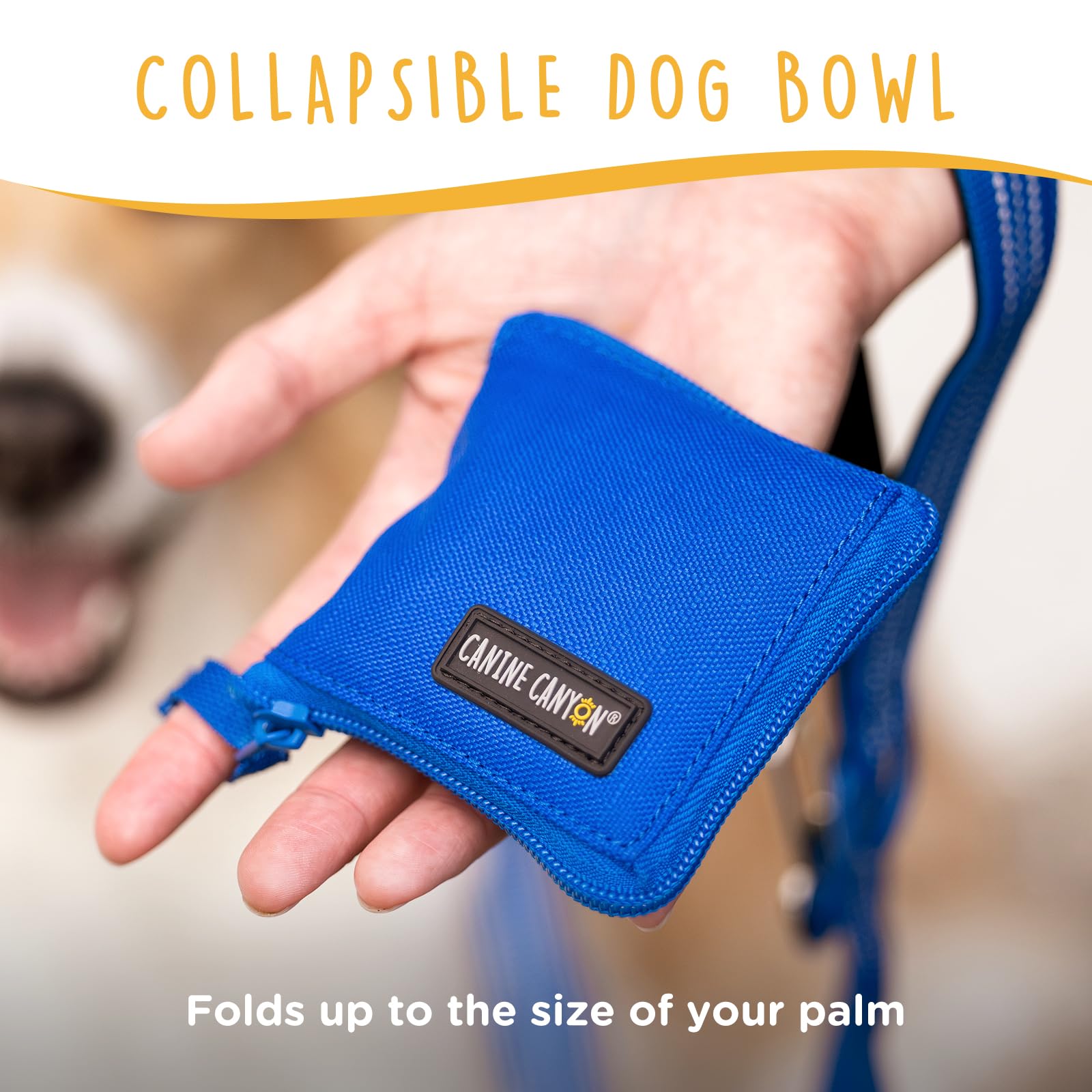 Foldable Collapsible Dog Bowl & Leash-Attached Poop Bag Dispenser Set - Portable Pet Travel Bowl for Food & Water - Perfect for Hiking, Camping, Travel & Outdoor Adventures with Your Dog