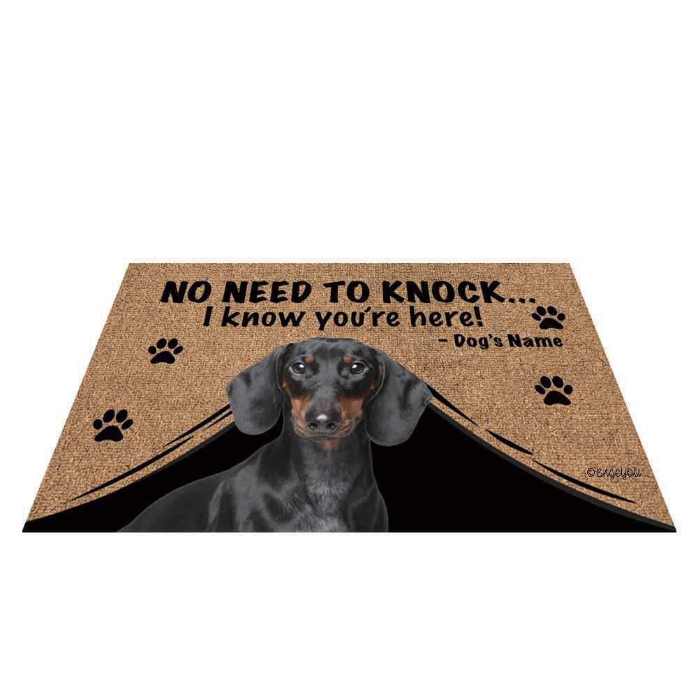 Personalized Dog Welcome Doormat - Custom Dachshund Name Outdoor Mat (27.5
