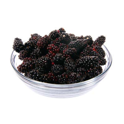 Northwest Wild Foods Fresh Frozen Marionberries - 9 lbs | Antioxidant-Rich Superfruit for Smoothies, Pies, Jams & Syrups | Healthy Frozen Berry for Baking, Desserts & Breakfast
