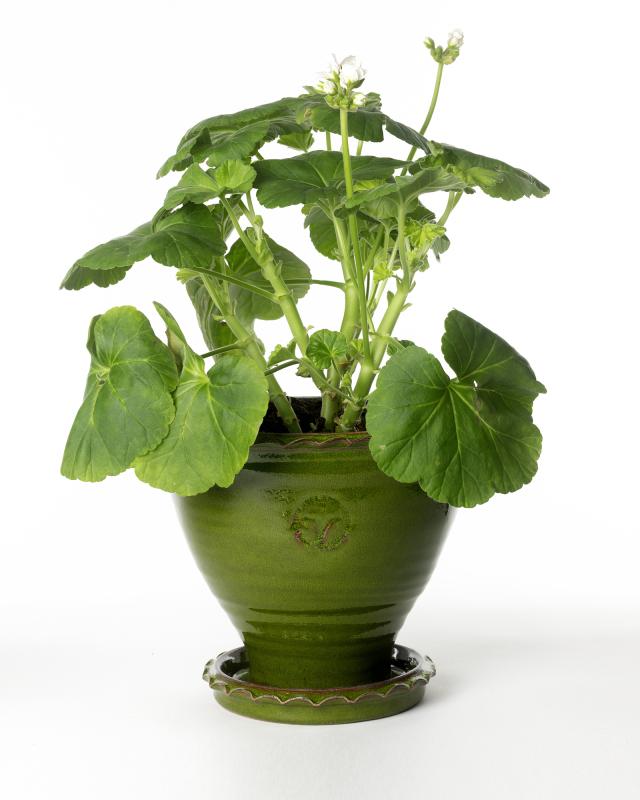 Kruka Sturehof Adelcrantz 21cm Green Ceramic Flower Pot - Perfect for Indoor Plants, Herbs & Home Decor