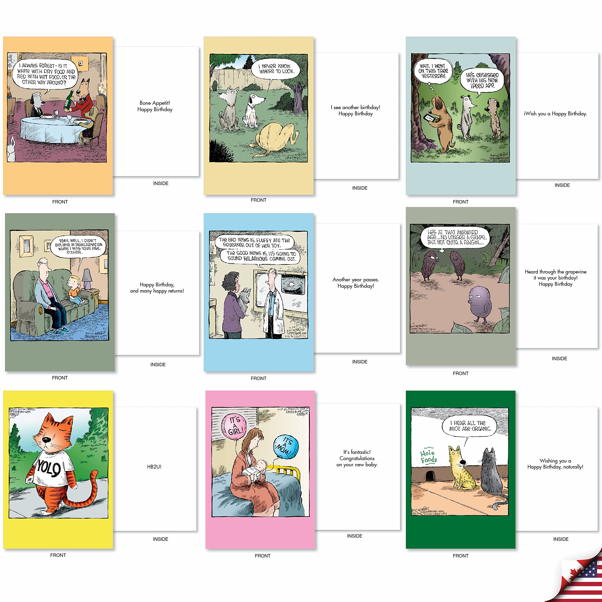 Funny Mixed Occasion Greeting Cards Set - 36 Designs with Envelopes for Birthday, Get Well & Friendship - Perfect for Parties & Gifts