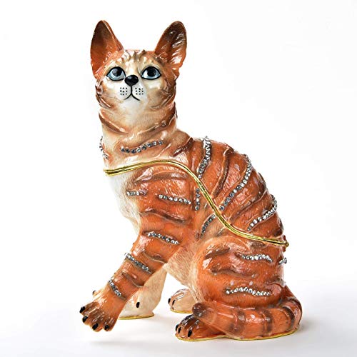Orange Cat