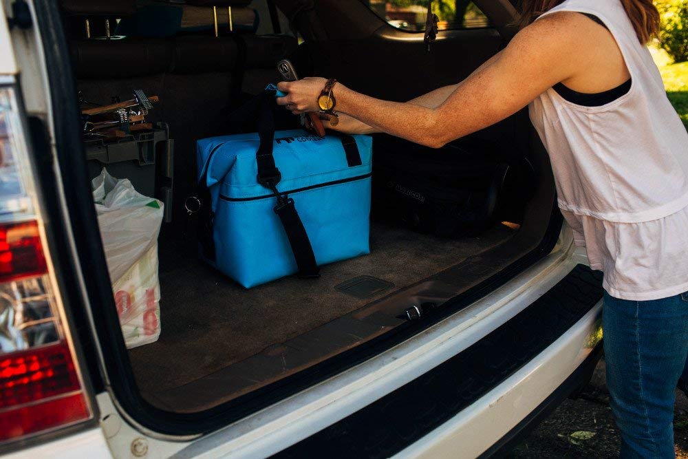 Bison Coolers Softpak Series - Premium Insulated Soft Cooler Bag, Made in USA, Leak Proof & 24+ Hour Ice Retention - Perfect for Beach, Travel, Camping, Picnic, Car Trips & Outdoor Adventures