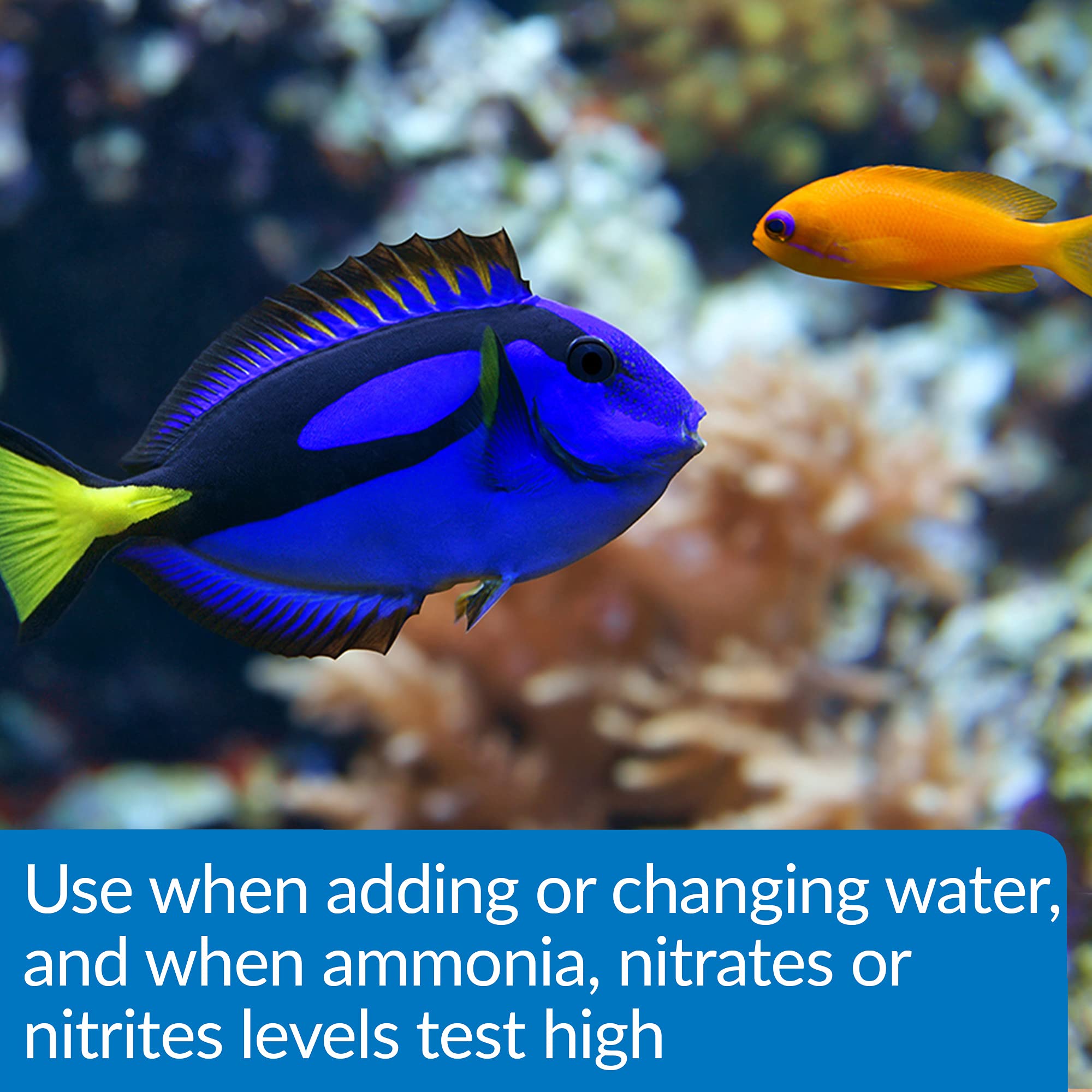 API Aqua Essential Water Conditioner for Freshwater & Saltwater Aquariums – 4 oz Bottle – Removes Chlorine, Chloramines & Heavy Metals – Safe for Fish, Plants & Shrimp – Perfect for Water Changes & New Tank Setup
