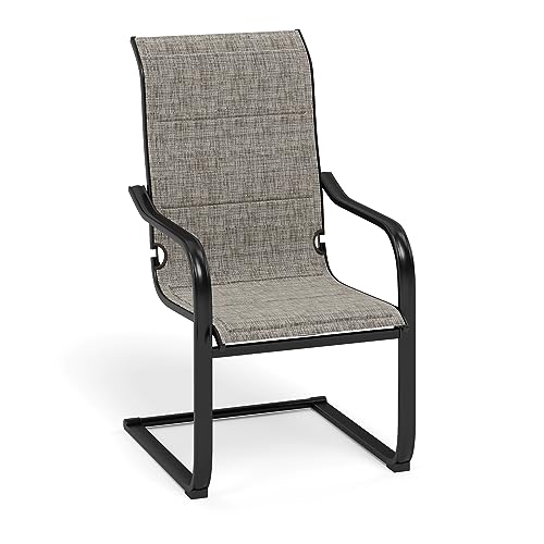 Grayish Brown-c Spring