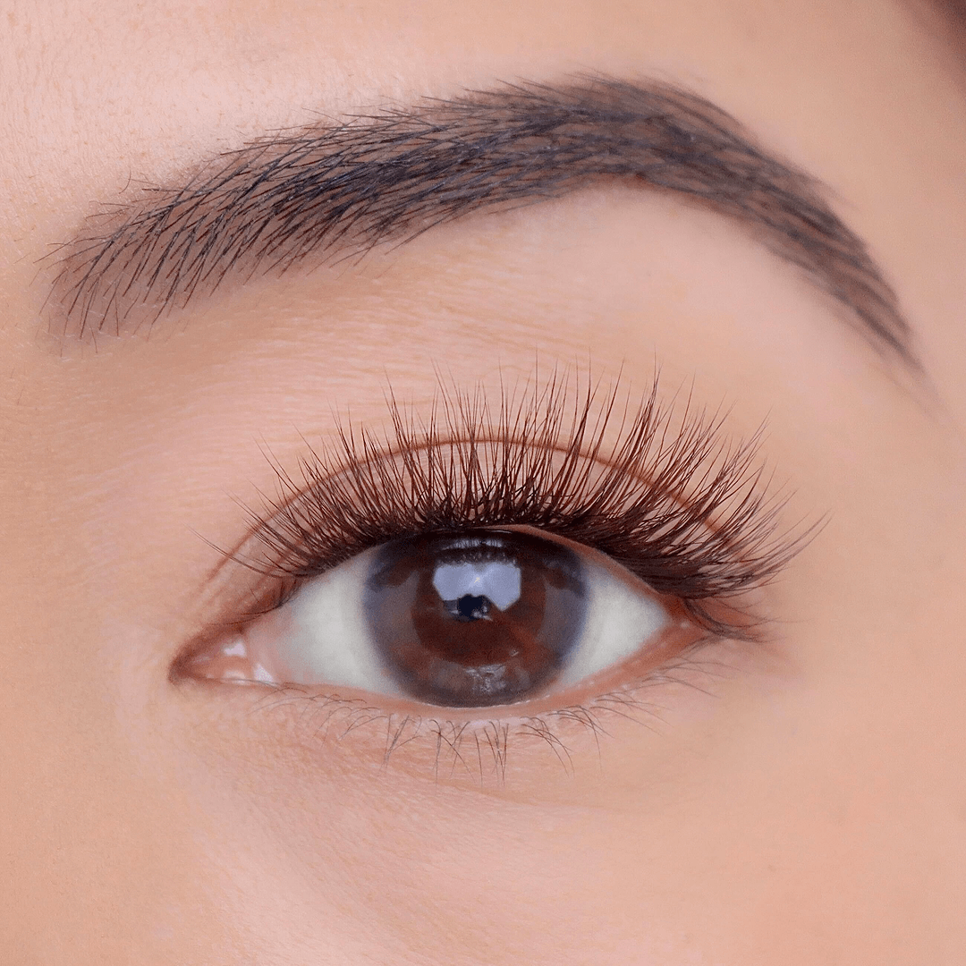 Professional Curated Eyelash Extension Kit - Natural & Dramatic Looks for Every Occasion | Perfect for Bridal, Party & Everyday Wear