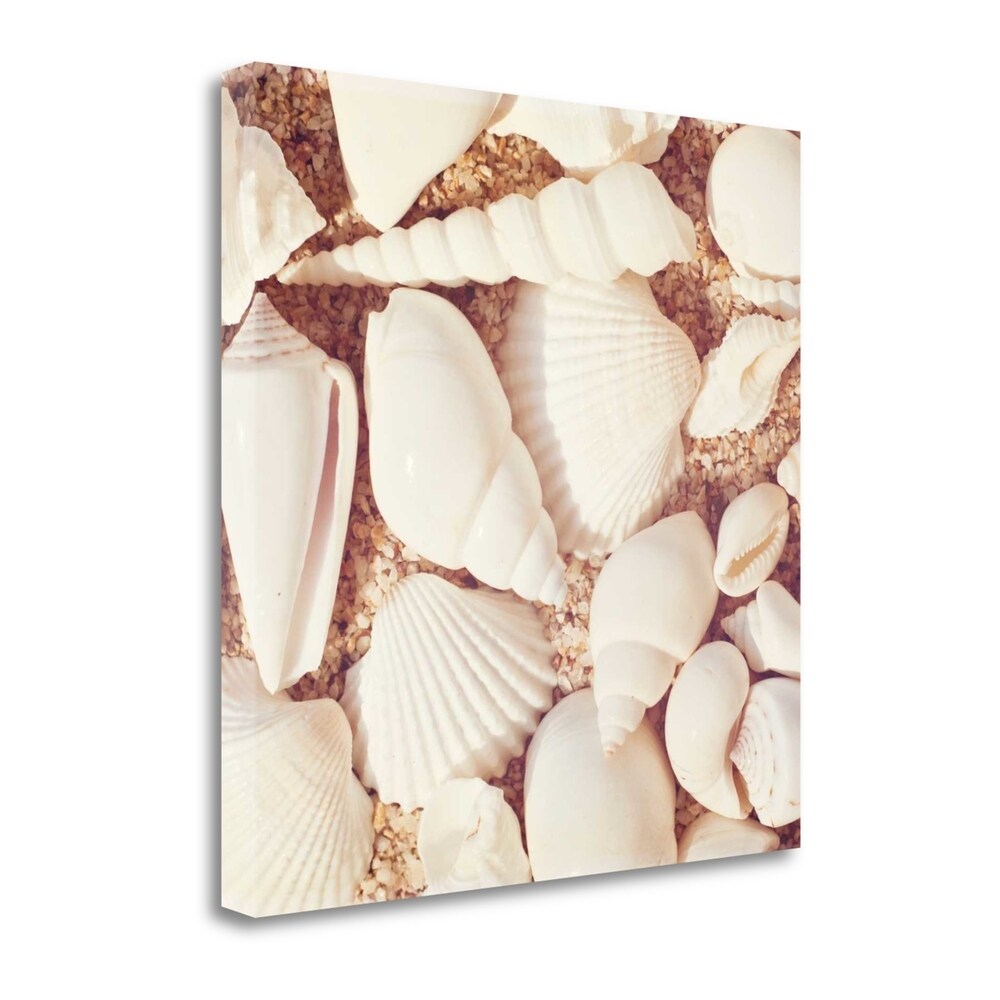Beachcomber by Carolyn Cochrane - Fine Art Giclee Print on Gallery Wrap Canvas, Ready to Hang Wall Decor - Perfect for Living Room, Bedroom & Office Artwork