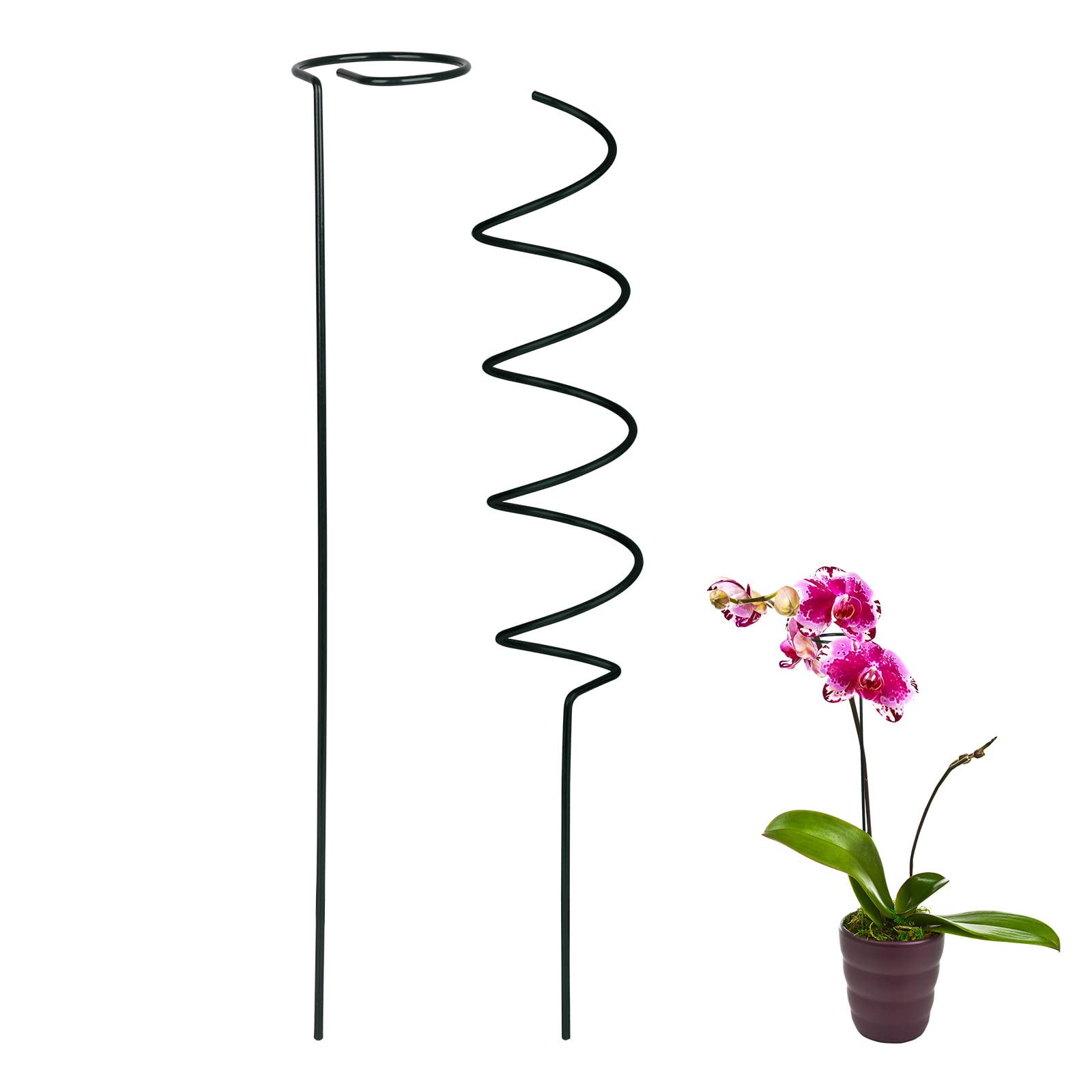 HYLYING 12 Pack 15.7 Inch Metal Spiral Plant Support Stakes - Single Stem Garden Stakes with Support Rings for Vegetables, Vines, Flowers - Perfect for Balcony, Yard, and Indoor Gardening