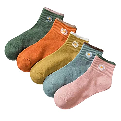 5pairs Comble3