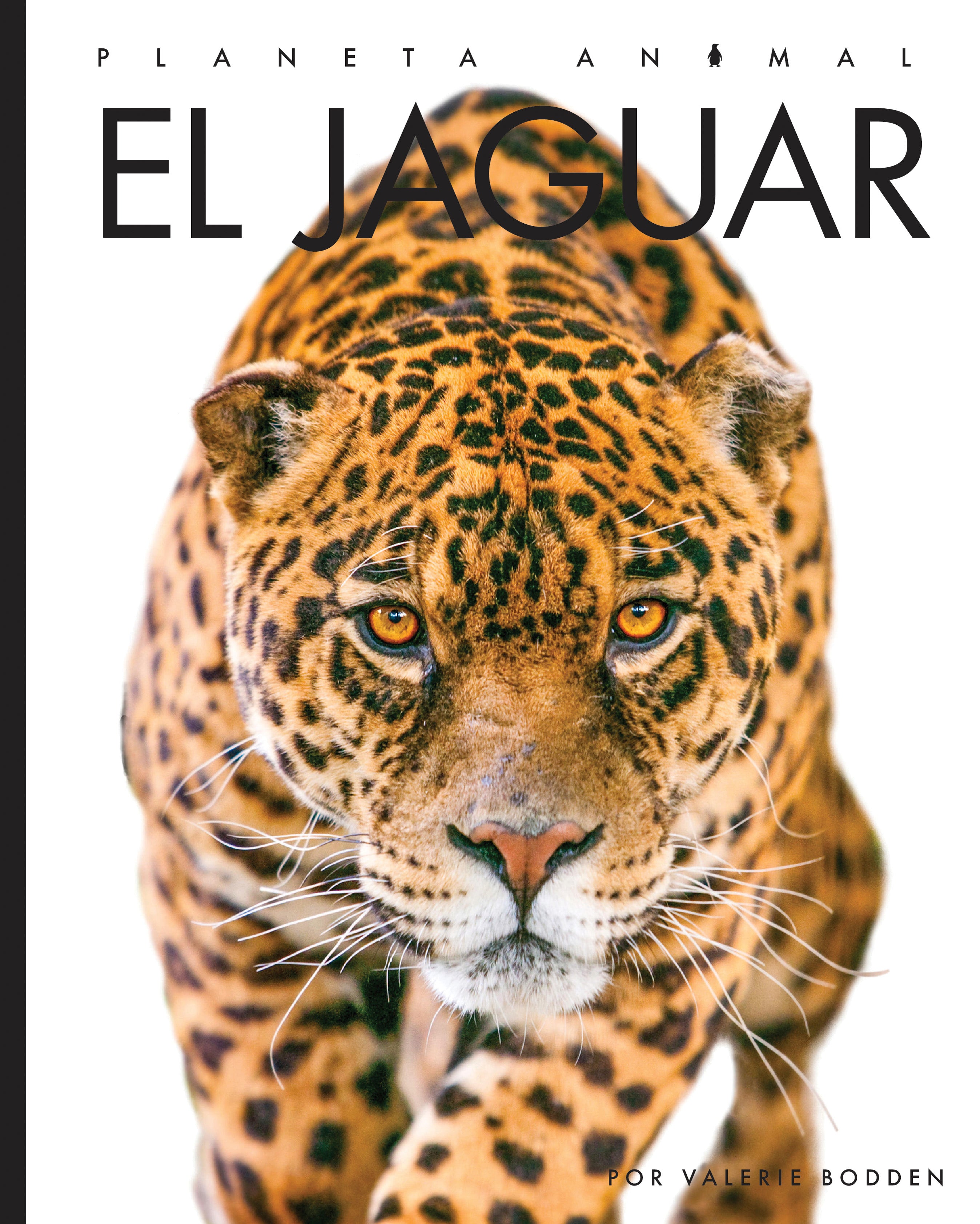 El Jaguar Book 9781640266742 - Wildlife & Nature Adventure for Kids & Adults - Perfect for Reading & Learning About Jaguars