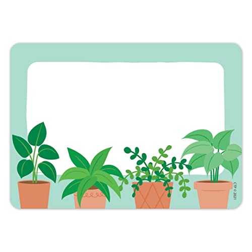 Positively Plants