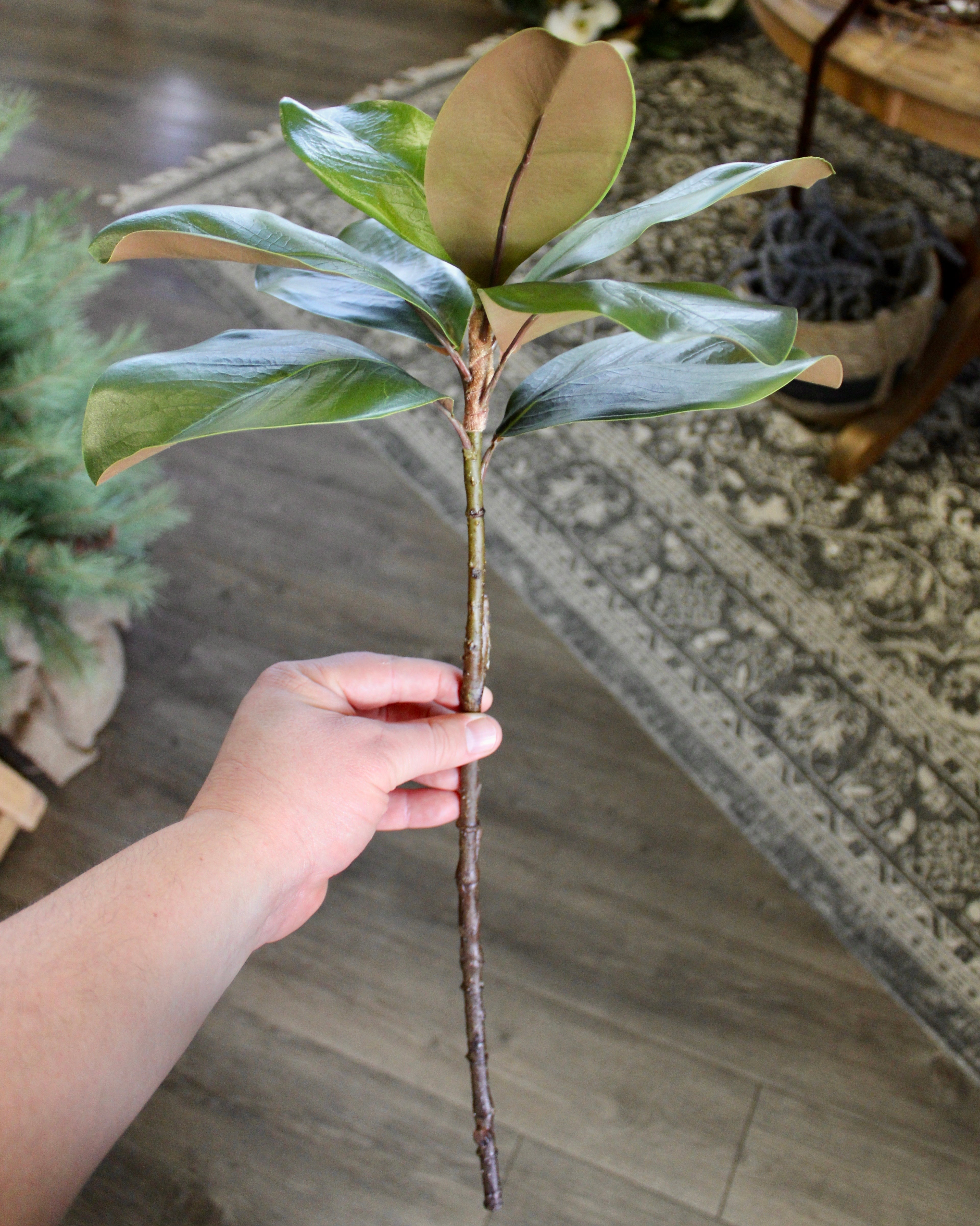 Magnolia Leaf Spray - Natural Home Decor & Floral Arrangement Accent for Weddings, Events, and DIY Crafts