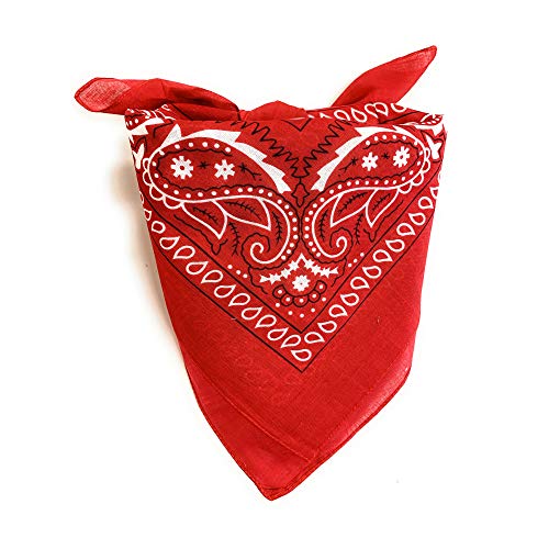 Red Paisley