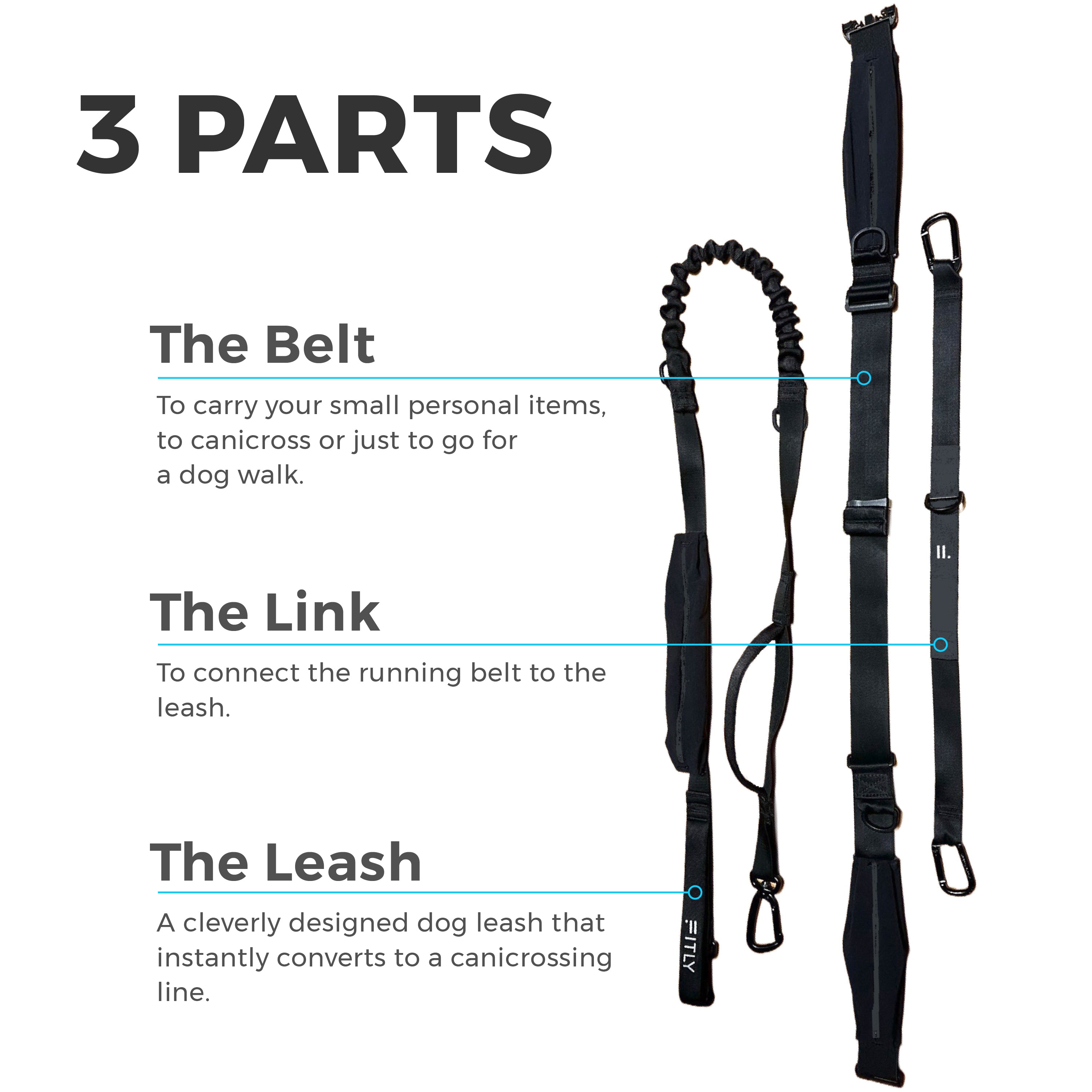 FITLY Running Belt with Adjustable Dog Leash - Hands-Free Jogging Waist Pack for Runners & Pet Owners (Blue) - Perfect for Outdoor Workouts, Hiking & Dog Walking