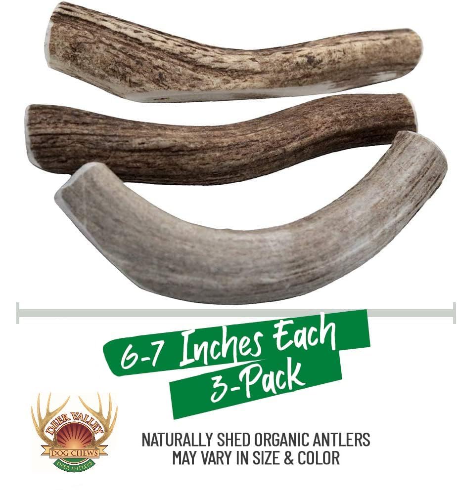 Premium Deer Antler Dog Chews (Large 3 Pack, 6-7 Inches) - Natural, Long-Lasting Dog Chew Toy for Medium to Large Breeds - Ethically-Sourced & Irresistible - Perfect for Teething, Dental Health & Aggressive Chewers