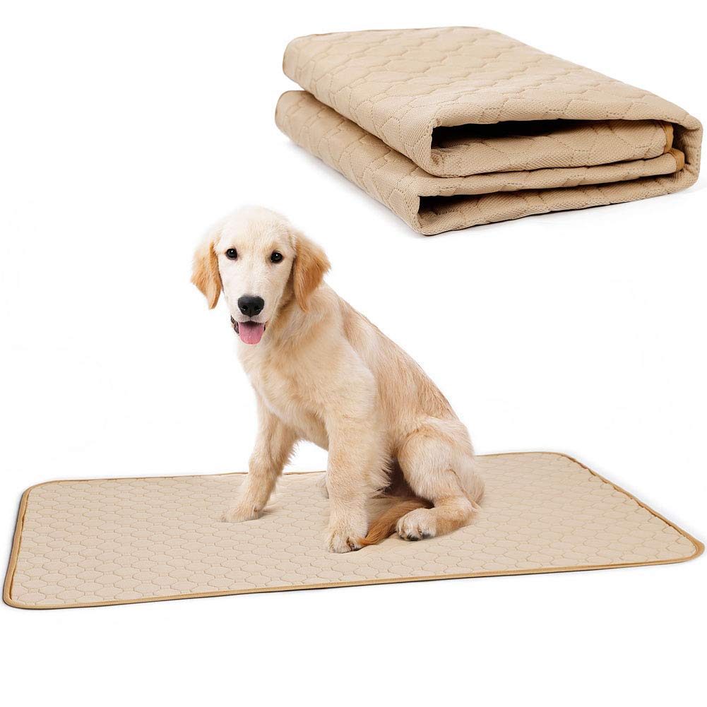 Waterproof Dog Bed Mat for Crate & Kennel - Anti-Slip Pet Training Pads for Puppy, Small, Medium & Large Dogs - Machine Washable Sleeping Cushion for Cage, Car, Sofa & Food Bowls - Perfect for Indoor Use, Travel & House Training