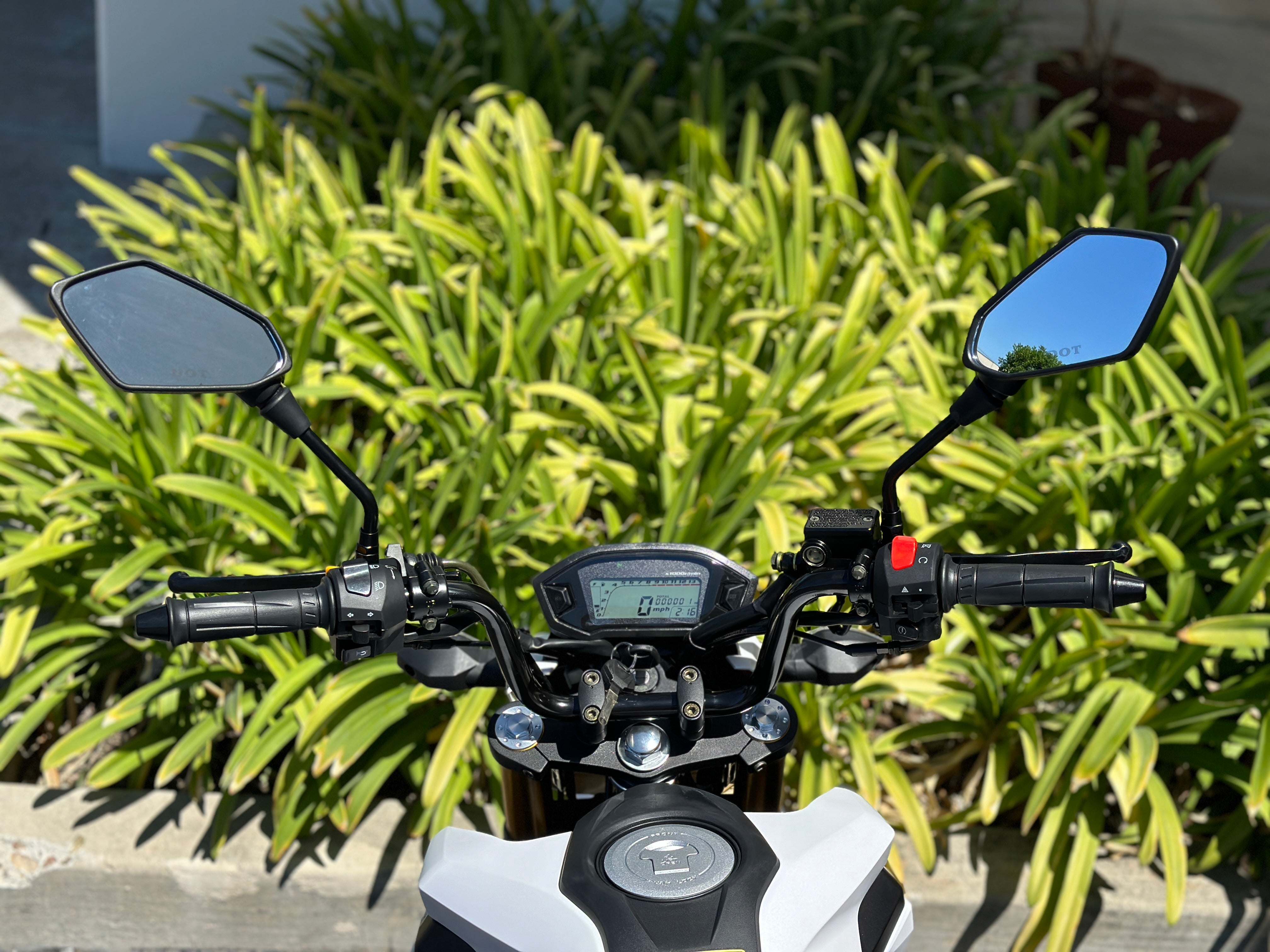Venom X20 125cc 4-Speed Gas-Powered Motorcycle - Dirt Bike for Adults & Teens - Off-Road, Trail Riding & Commuting
