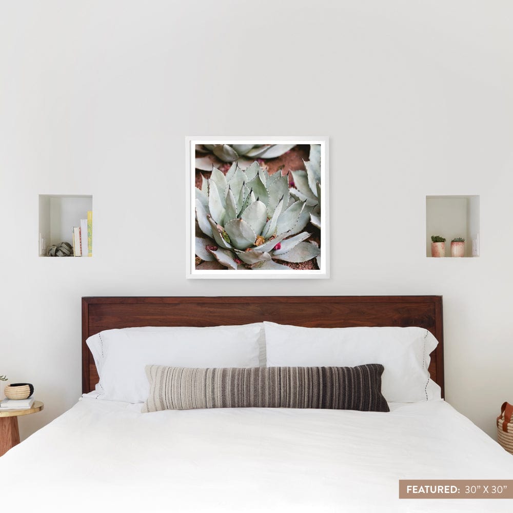 Premium Fine Art Prints for Home & Office Decor - Jardin Collection | Wall Art for Living Room, Bedroom & Gallery Displays