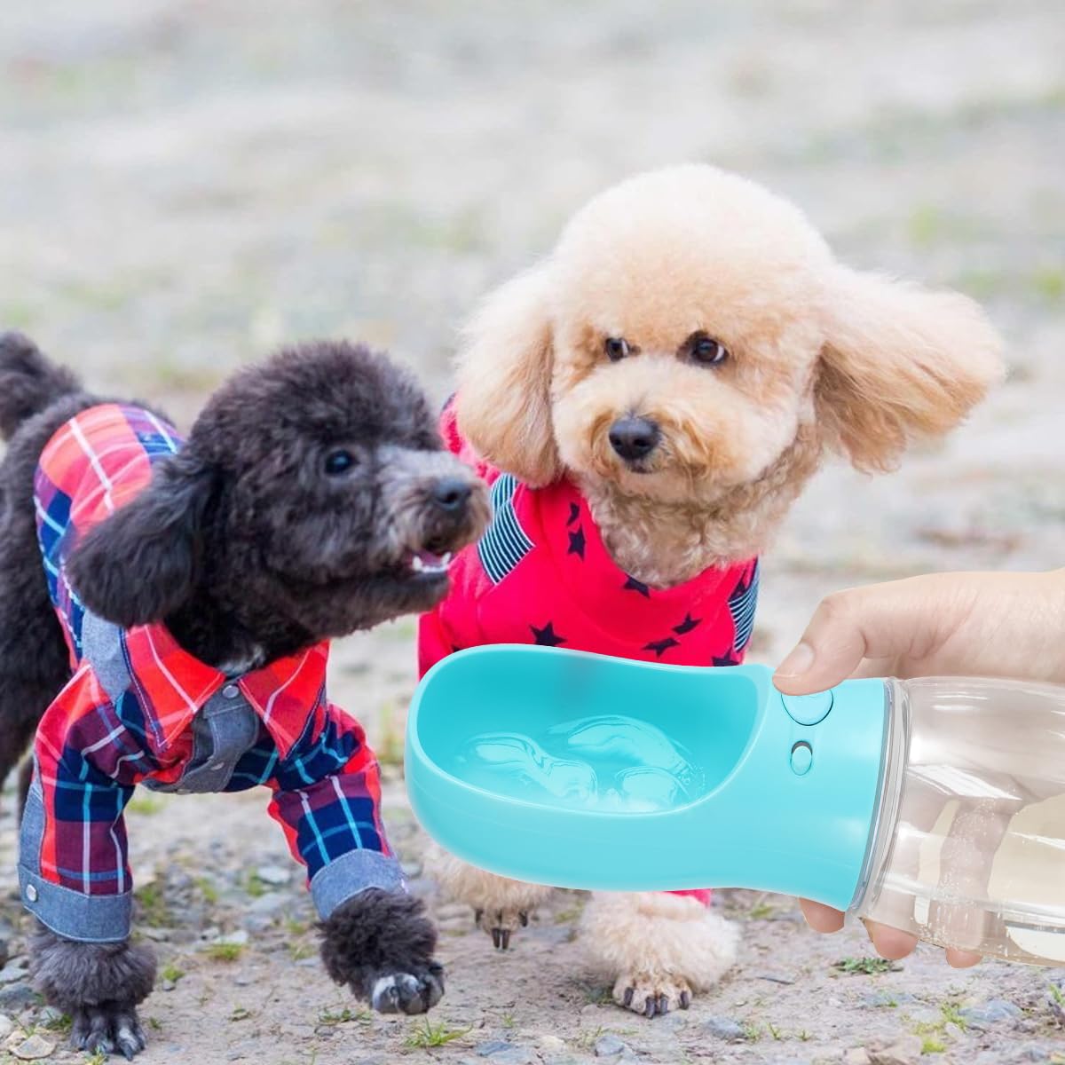 POPETPOP 1pc Leakproof Pet Water Bottle - Portable Cat & Dog Water Dispenser with Drinking Bowl, PP Material for Cage, Travel & Outdoor Use - Ideal for Cats, Dogs, Small Animals