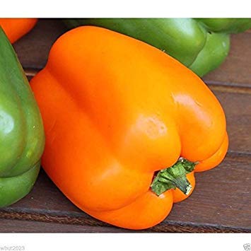 California Wonder Sweet Orange Bell Pepper Seeds - Pack of 50 | Non-GMO, Heirloom Variety for Container Gardening & Home Gardens | Perfect for Salads, Stir-Fries & Fresh Eating