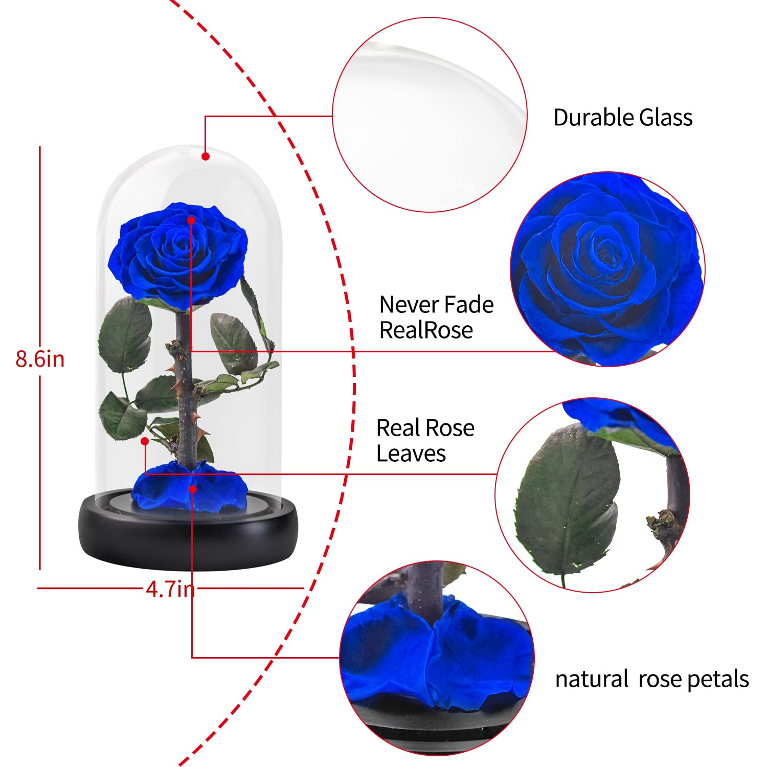 Forever Preserved Real Rose Flower in Glass Dome - Eternal Rose Gift for Women, Mom, Valentine's Day, Mother's Day, Christmas & Anniversary - Perfect Romantic Home Decor & Luxury Keepsake