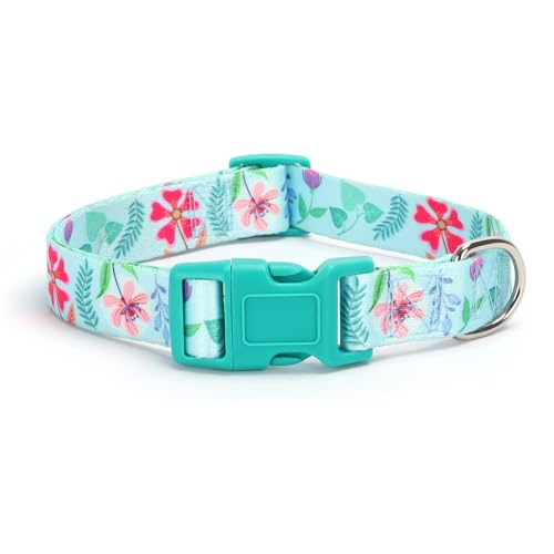 25.Verdure Daisy