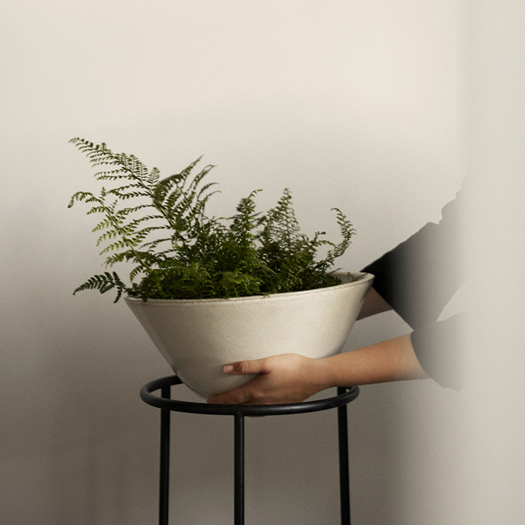Modern Menu Daiza Planter - Elegant Ceramic Flower Pot for Indoor Plants, Succulents & Home Decor | Perfect for Living Room, Office & Garden Decorations