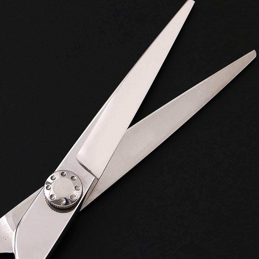 Professional Hairdressing Scissors 5.5 Inch - Salon Grade Barber Shears for Precision Hair Cutting - Silver Stainless Steel Flat Cut Teeth Scissors - Perfect for Salon Stylists & Home Haircuts