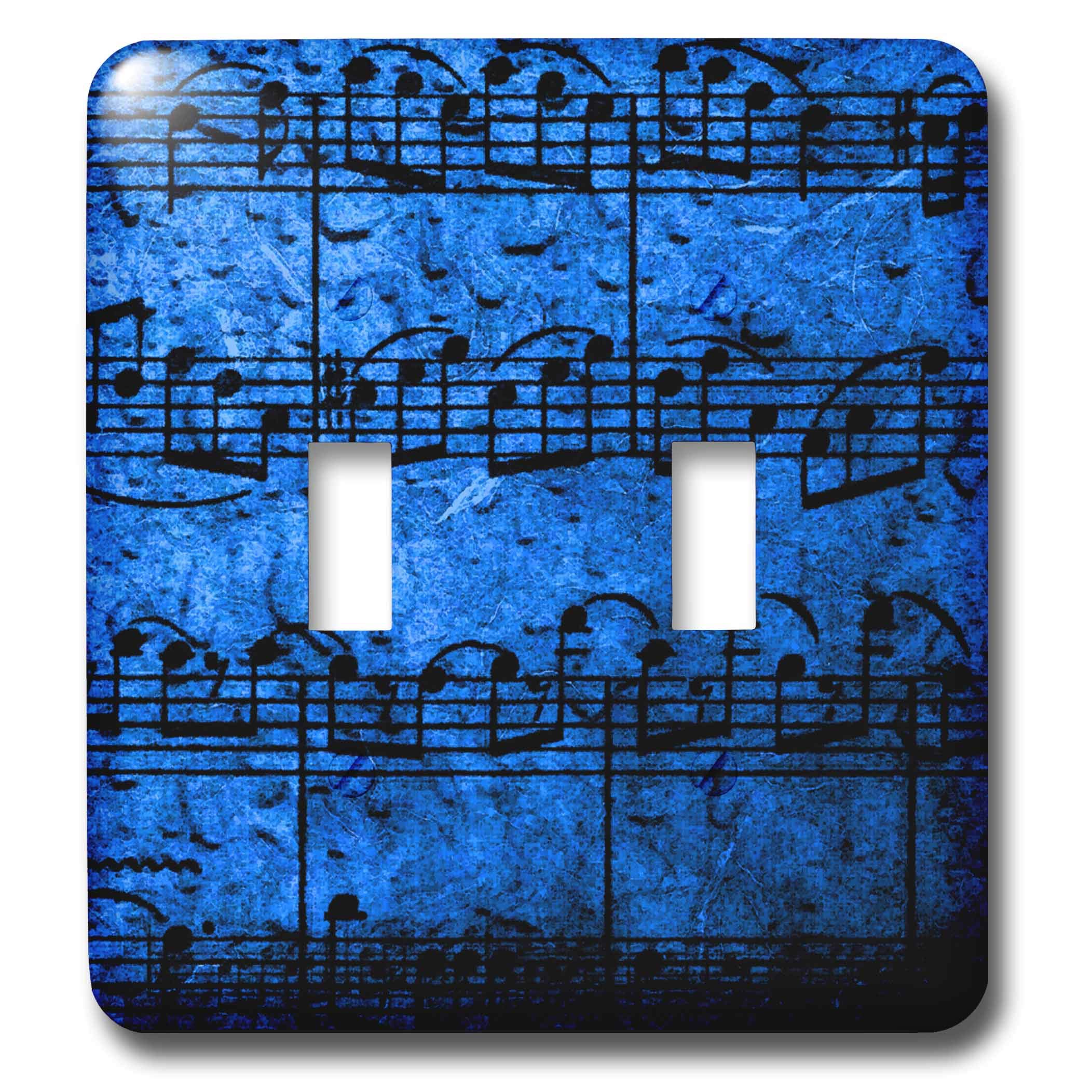3D Rose Musical Interlude in Blue Double Toggle Switch - Multicolor Wall Plate Cover for Home & Office Decor | Perfect for Bedroom, Living Room, and Studio Decorations