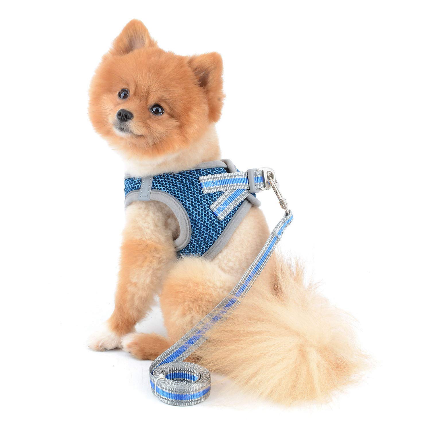 SELMAI Reflective Cat Harness and Leash Set - Escape Proof No Pull Adjustable Soft Mesh Vest for Small Dogs, Medium Cats, Puppies & Chihuahuas - Pet Training Walking Gear with 1.5m Blue Leash - Perfect for Night Walks, Outdoor Adventures & Pet Safety