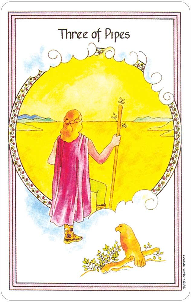 The Medicine Woman Tarot Deck and Book Set - Spiritual Guidance for Women's Empowerment | Perfect for Meditation, Self-Discovery & Intuitive Healing Practices