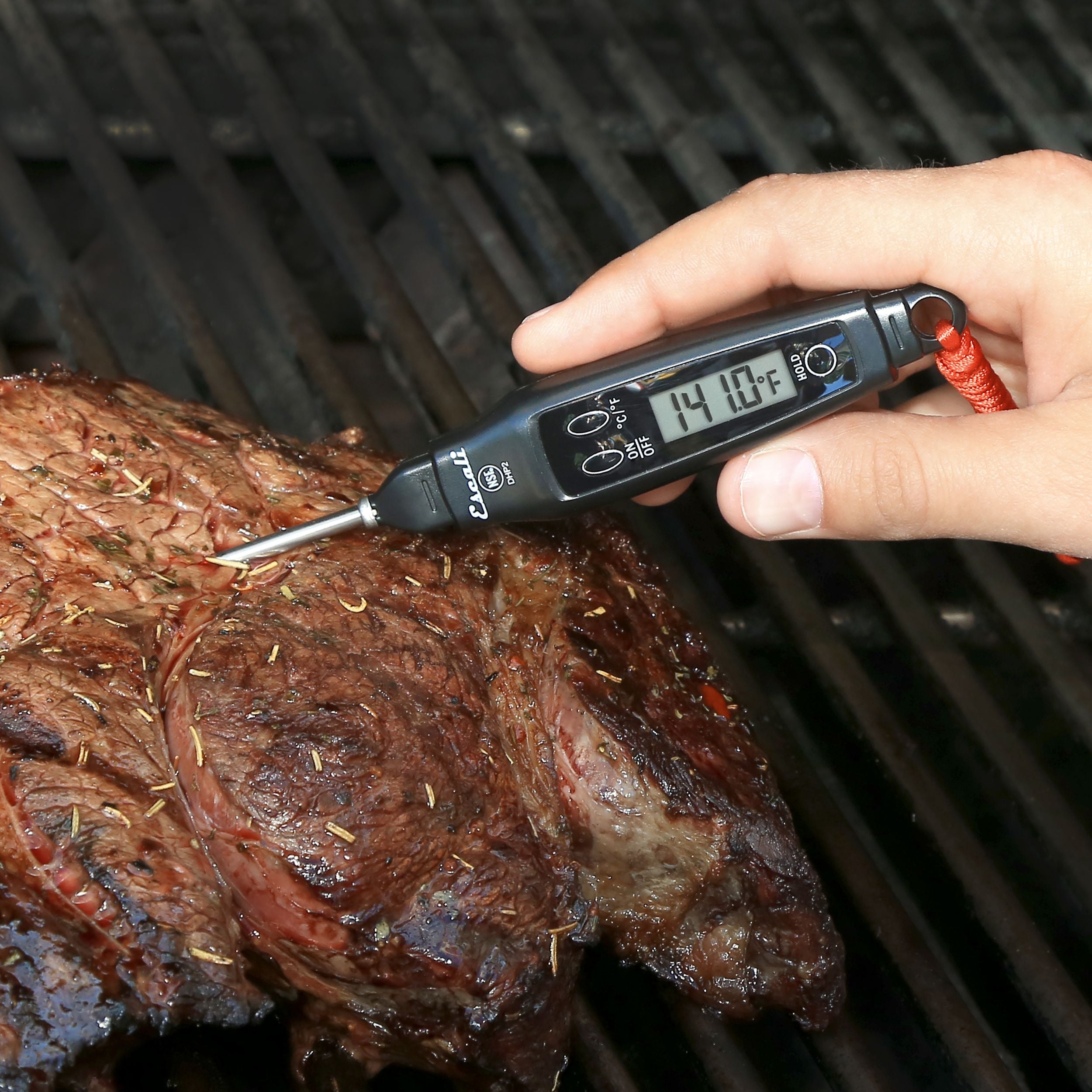 Digital Pen Thermometer - Fast & Accurate Temperature Measurement for Cooking, BBQ, and Home Use