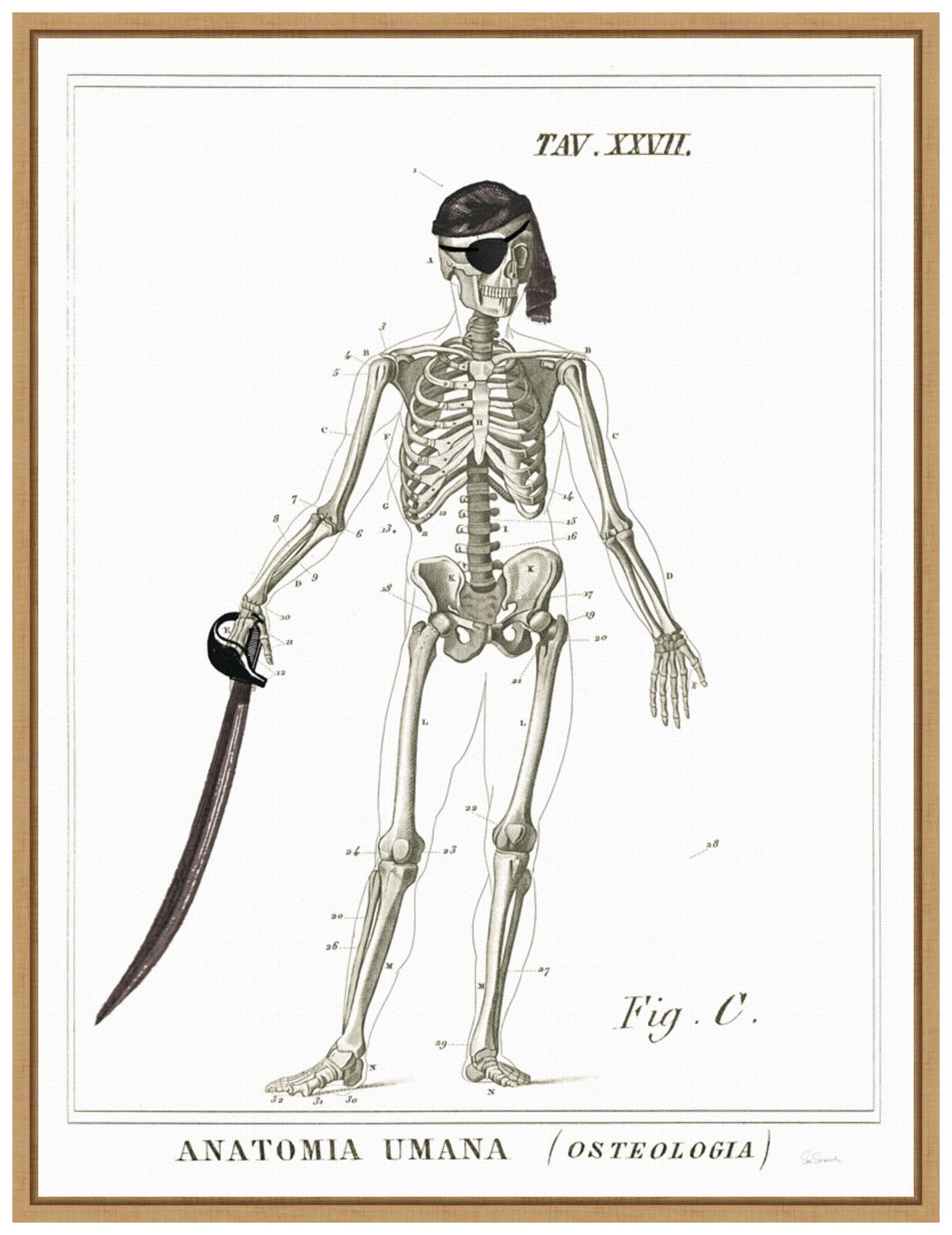 Amanti Art Framed Canvas Wall Art Print - Dandy Bones Pirate by Sue Schlabach, 18x24 Inches, Sylvie Maple Frame - Vintage Nautical Decor for Living Room, Bedroom & Office