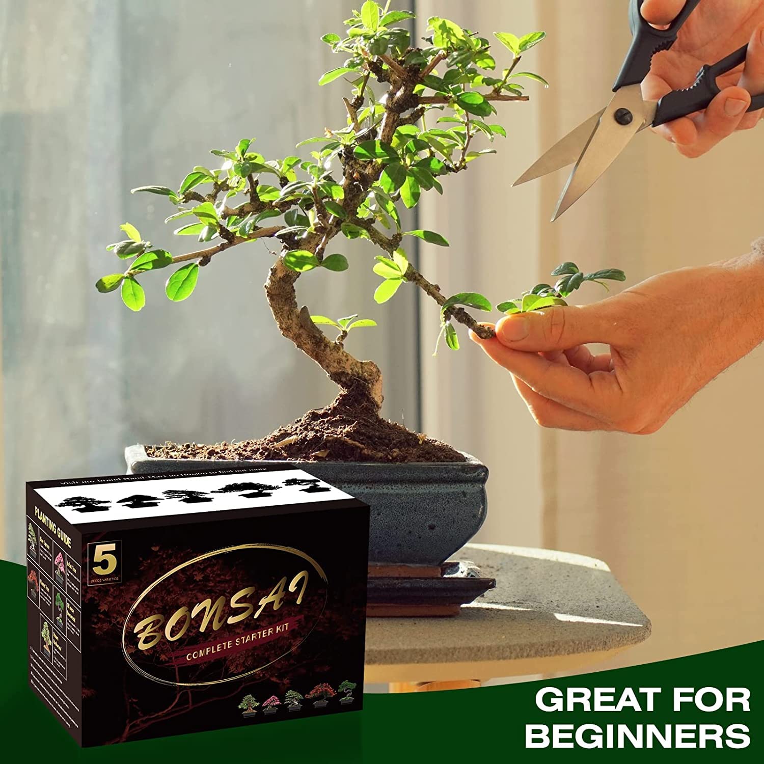 Bonsai Tree Kit - Complete Indoor Growing Tools for Home Gardening & DIY Gifts | Perfect for Beginners & Adults