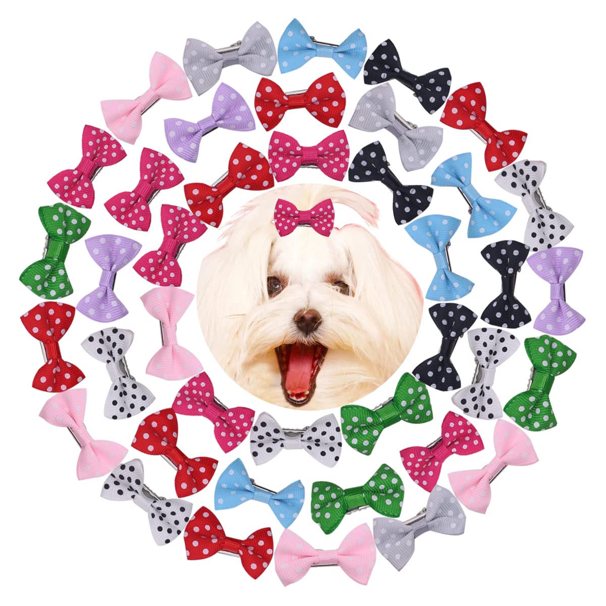 Petunny 40Pcs Small Dog Hair Bows & Clips - Cute Polka Dot Bowknot Hair Accessories for Puppy Grooming (Random Colors) | Perfect for Valentine's Day, Easter, St. Patrick's Day & Pet Parties