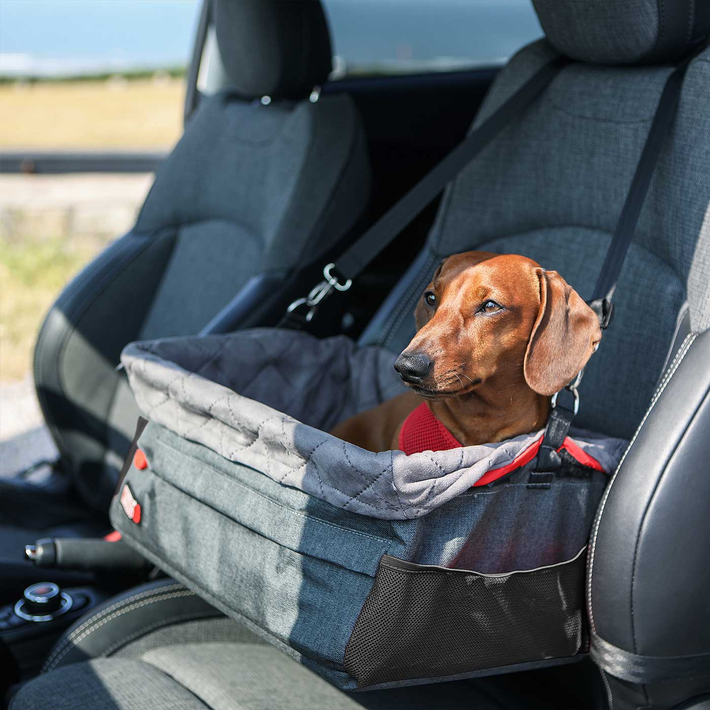 KONG Secure Booster Seat for Dogs - Adjustable Pet Car Seat with Safety Straps for Small & Medium Dogs | Perfect for Road Trips & Vet Visits