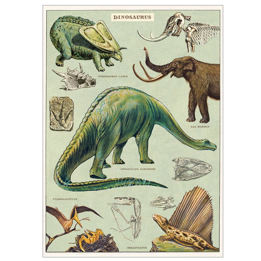 Dinosaur Wrapping Paper - Fun & Colorful Dino Designs for Kids' Birthday Gifts, Party Decorations & Craft Projects