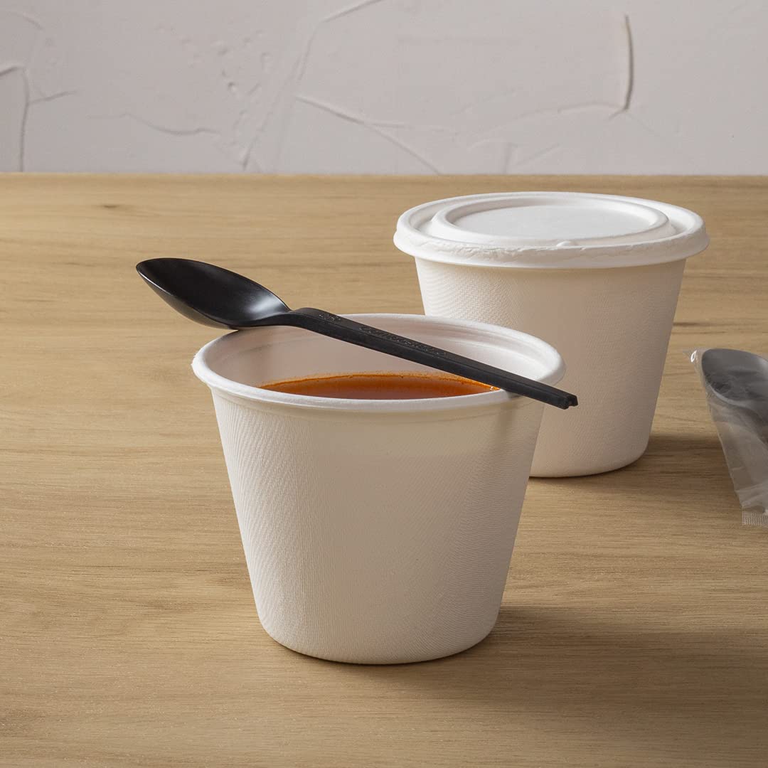 Eco-Friendly 6.5 Inch Compostable Spoons - 250 Individually Wrapped Plant-Based Cutlery Set | BPI-Certified CPLA Disposable Utensils for Hot & Cold Foods | Perfect for Restaurants, Catering, Picnics & Outdoor Events