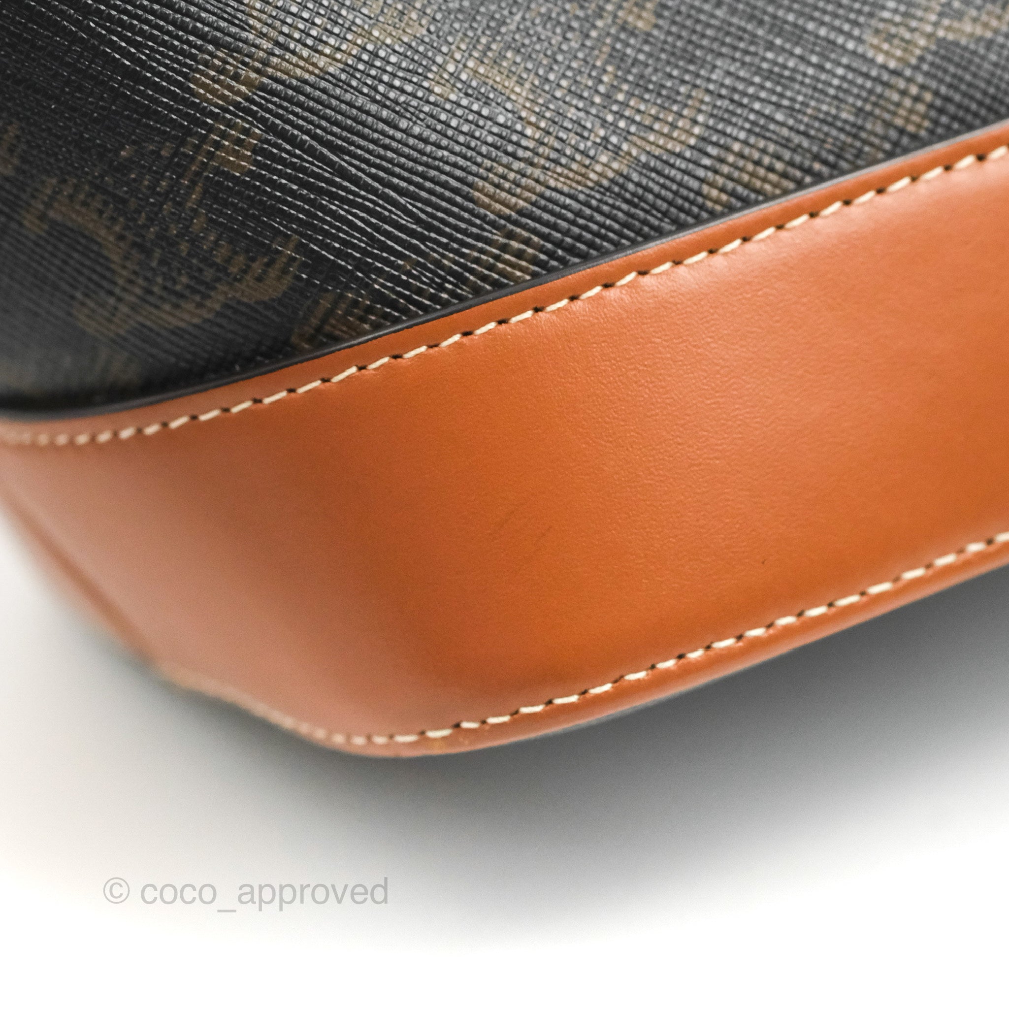 Celine Small Bucket Bag in Triomphe Canvas & Tan Calfskin Leather - Perfect for Everyday Use, Work & Travel Accessories