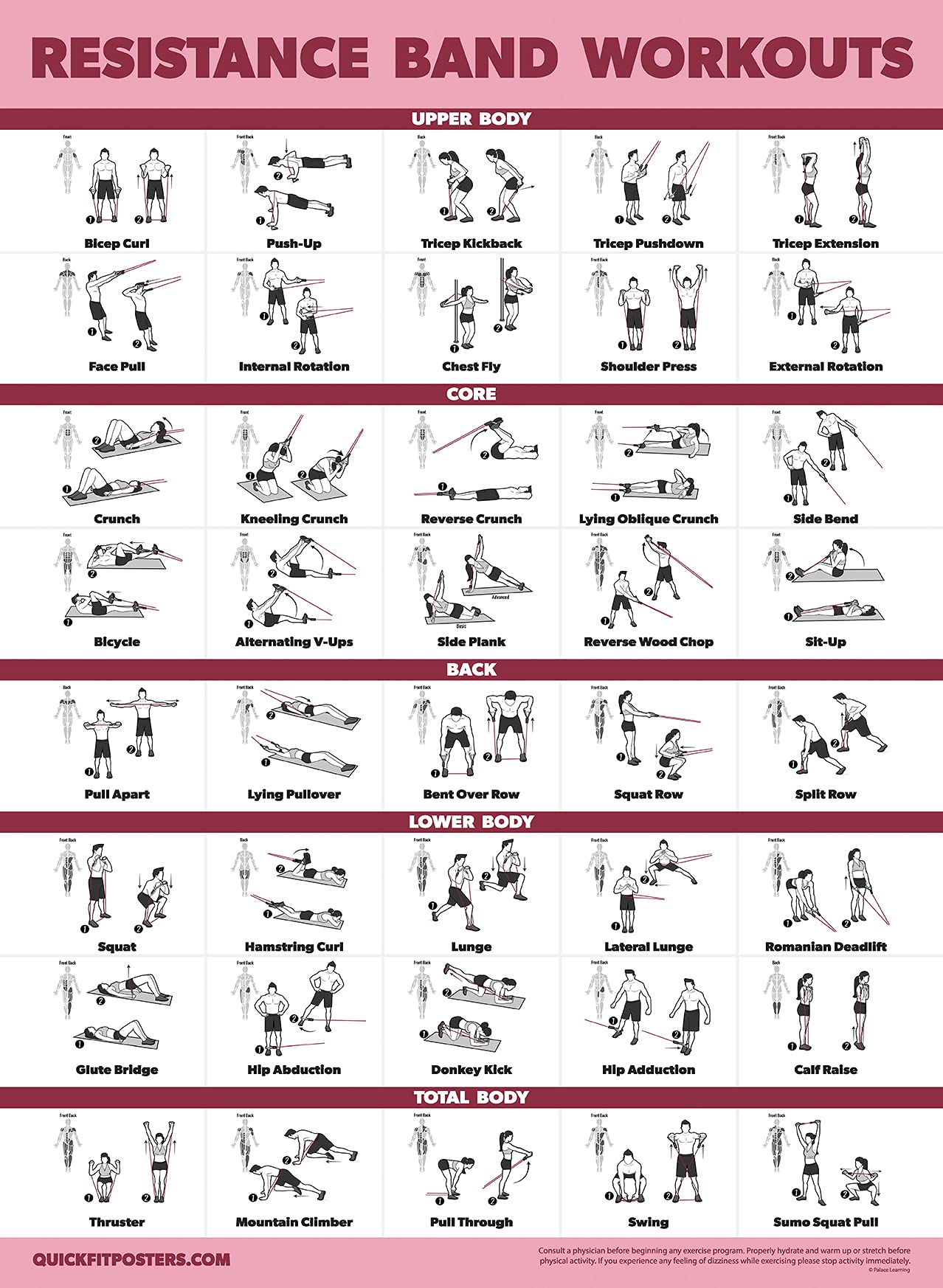 2 Pack Resistance Bands & Loops Workout Posters - Set of 2 Laminated Exercise Charts for Home Gym, Physical Therapy & Fitness Training | Palace Learning