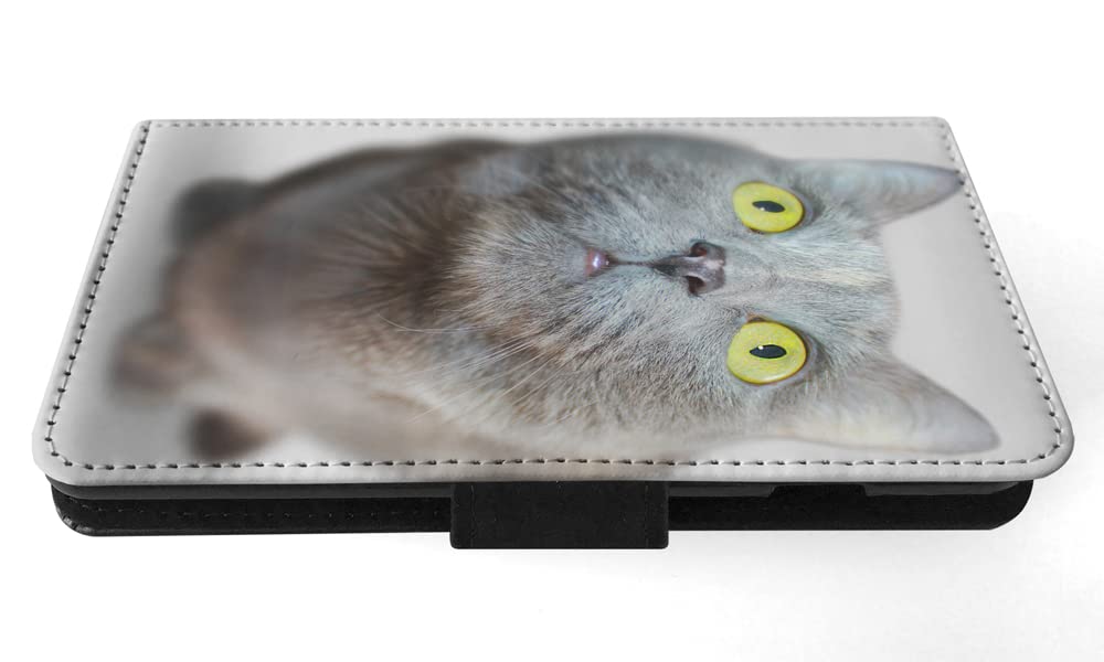 Adorable Grey Cat Kitten Flip Wallet Phone Case for Apple iPhone X & Xs - Perfect for Cat Lovers & Everyday Use