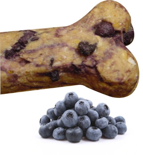 Premium Blueberry Gourmet Dog Treats for Small & Large Breeds - All-Natural, Grain-Free, 1lb Bag - Healthy Snacks for Training, Rewards & Dental Care