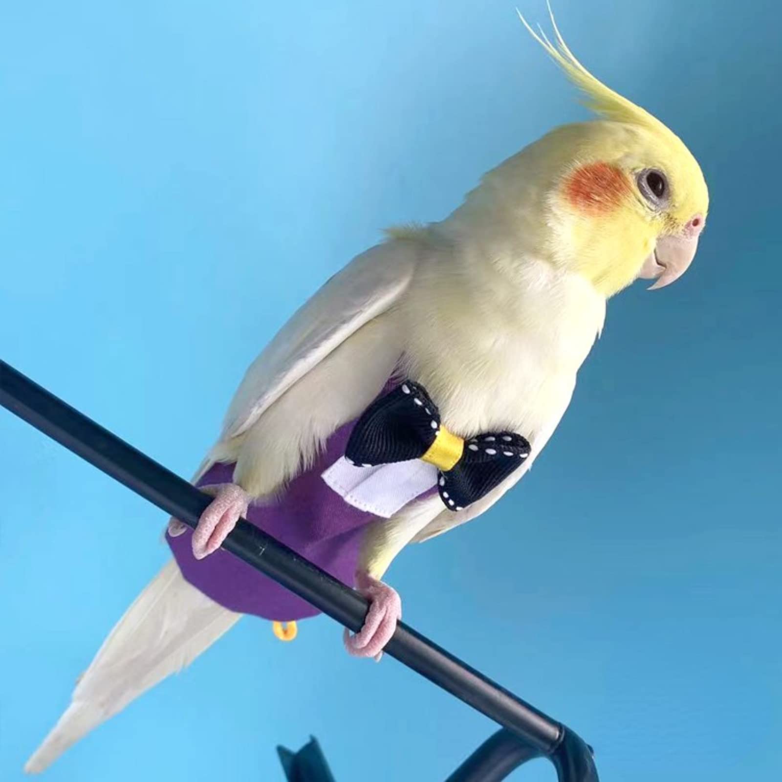 Parrot Diaper Harness & Flight Suit for Small Birds - Adjustable Leash for Cockatiels, Conures, Lovebirds - Soft Washable Bird Training Clothes with Liner (Size S, Purple) - Perfect for Indoor Play, Travel & Potty Training