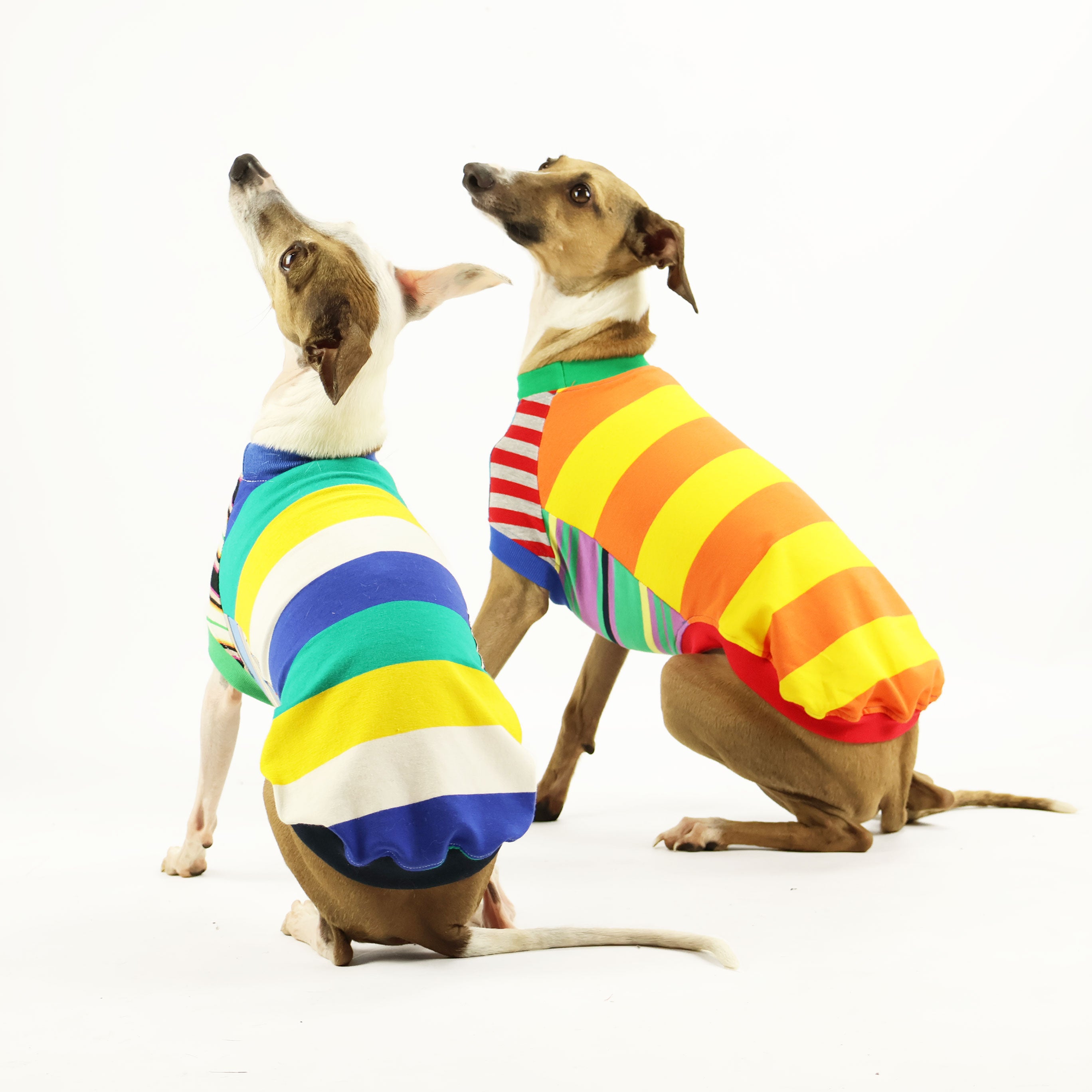 Frankie Italian Greyhound Sleeveless Hound Tee - Comfortable Dog T-Shirt for Small Breeds, Perfect for Summer Walks & Outdoor Adventures
