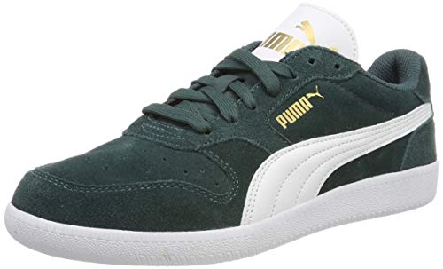 Green (Ponderosa Pine-puma White-puma Team Gold)