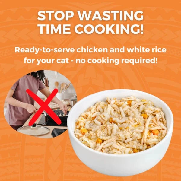 KOHA Limited Ingredient Cat Food - Grain Free Chicken & White Rice Recipe for Sensitive Stomachs | Digestive Support for Cats with Allergies | Perfect for Indoor Cats & Picky Eaters