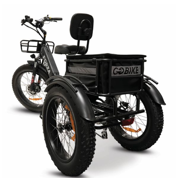 Go Bike FORZA Electric Tricycle for Adults - 500W Motor, 20MPH, 48V 15Ah Battery - Commuter, Leisure & Grocery Shopping E-Bike